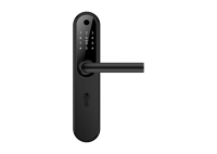 Home Plus BLACK - умный замок для апартаментов и домохозяйств