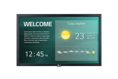 Стандартный дисплей 22" LG (22SM3G-B)