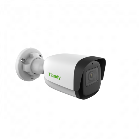 IP видеокамера Tiandy TC-C34QN Spec:I5W/E/Y/2.8mm/V4.2